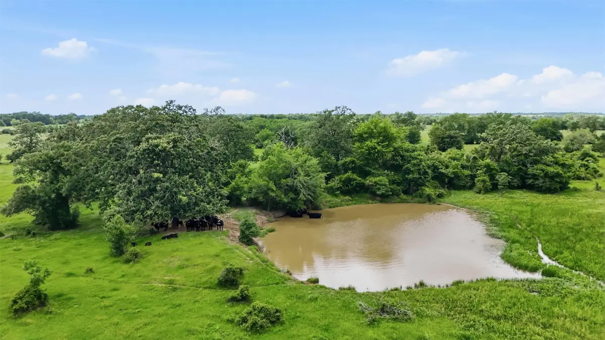 Tract 4 Holly Cemetery Road, Franklin, TX 77856 - #1