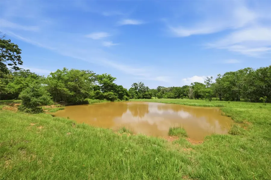 Tract 4 Holly Cemetery Road, Franklin, TX 77856 - #3