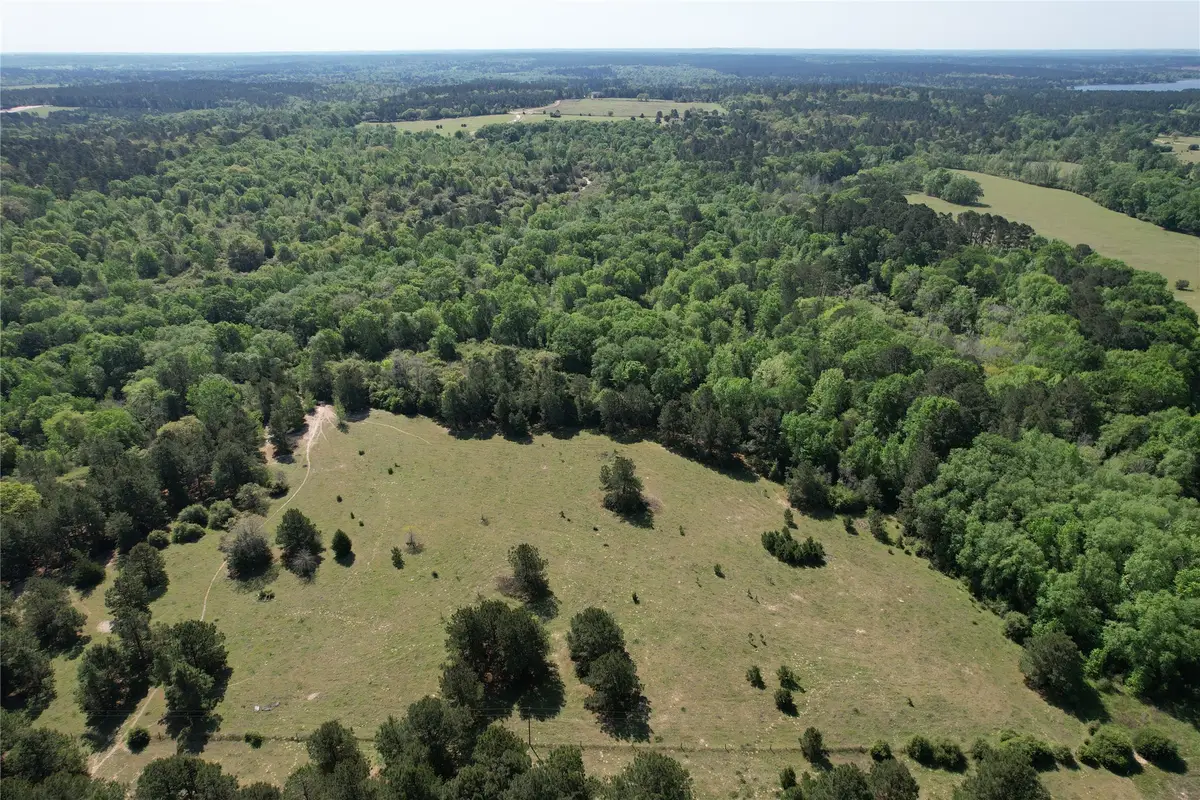 2954 County Road 2170, Grapeland, TX 75844 - Image #1