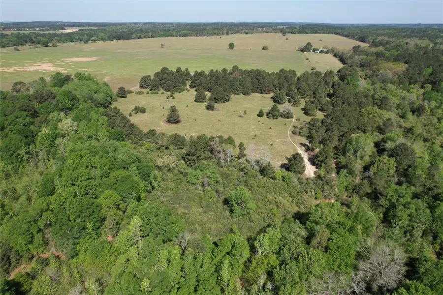 2954 County Road 2170, Grapeland, TX 75844 - Image #2