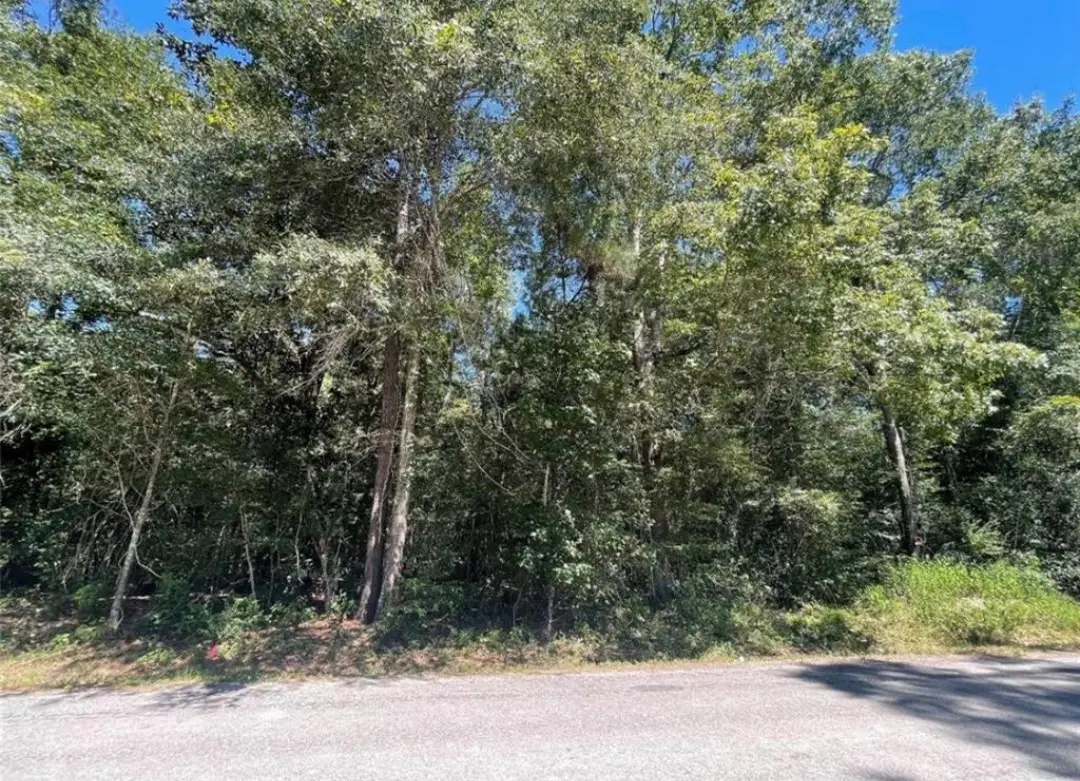 TBD County Road 3669c, Splendora, TX 77372 - #1