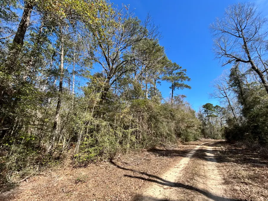 Lots 100-111 Lady Georgie Street, Ivanhoe, TX 75979 - #2