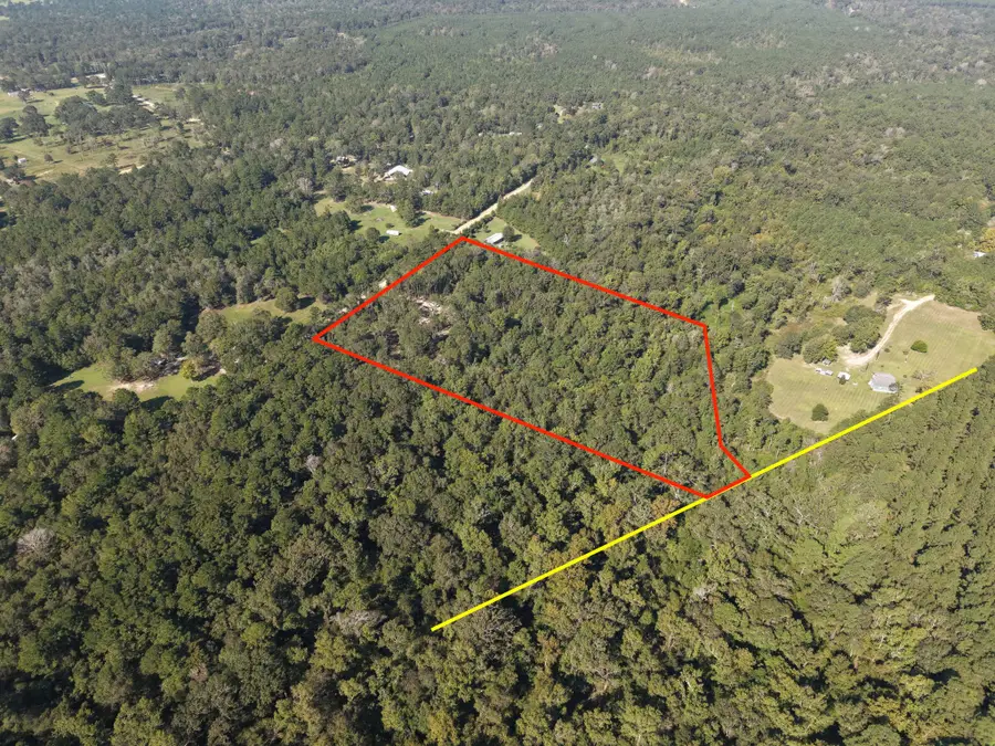 00 Magnolia Southland, Livingston, TX 77351 - #3