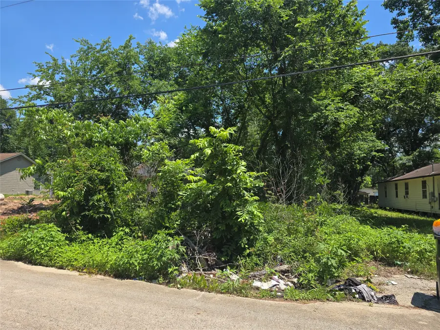 312 S 11th Street, Conroe, TX 77301 - #3