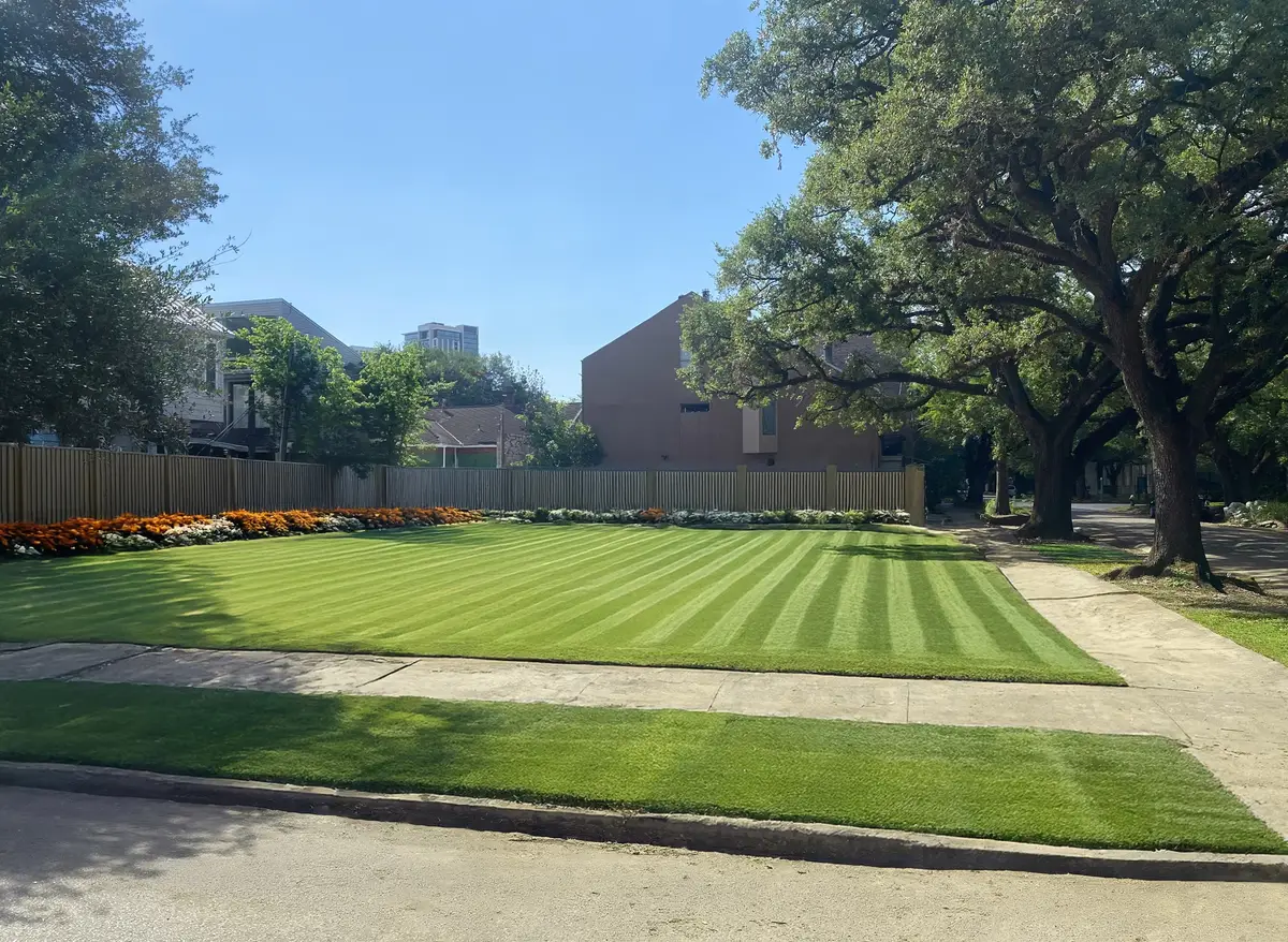 1621 Haver Street, Houston, TX 77006 - Image #1