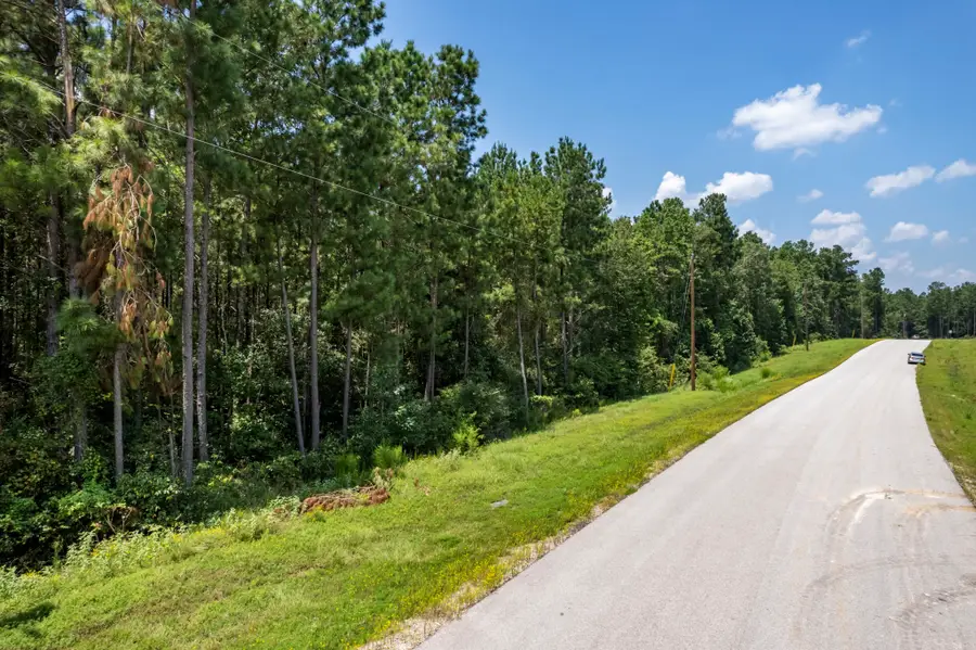 150 Bighorn Road, Huntsville, TX 77340 - Image #2
