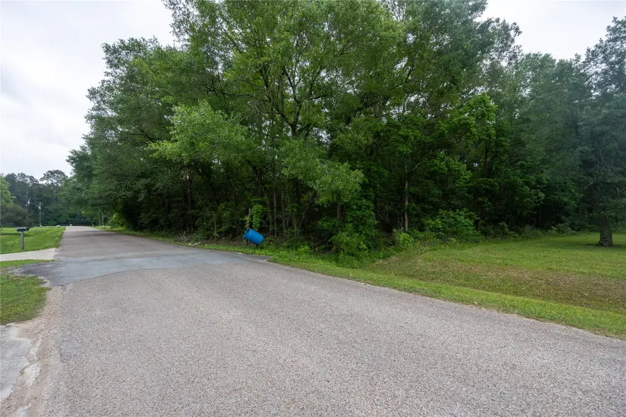 0 Lazy Lane, Porter, TX 77365 - #2