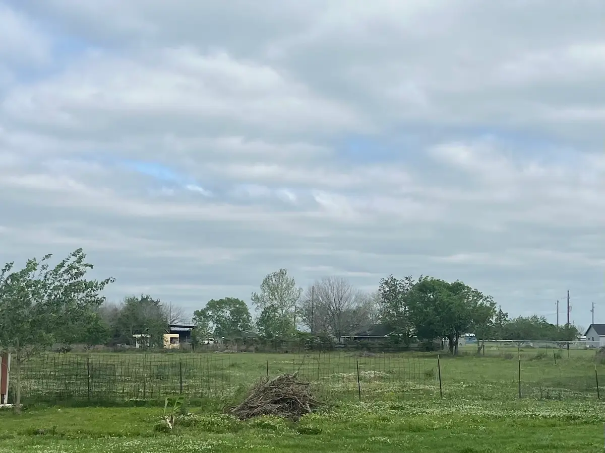 1420 County Road 611, Dayton, TX 77535 - #1