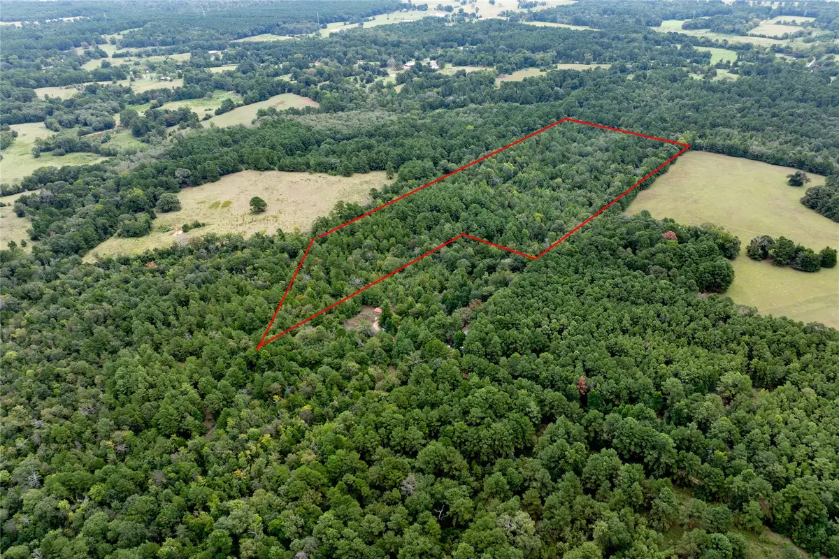 22 Acr Private Road 5040, Grapeland, TX 75844 - #1