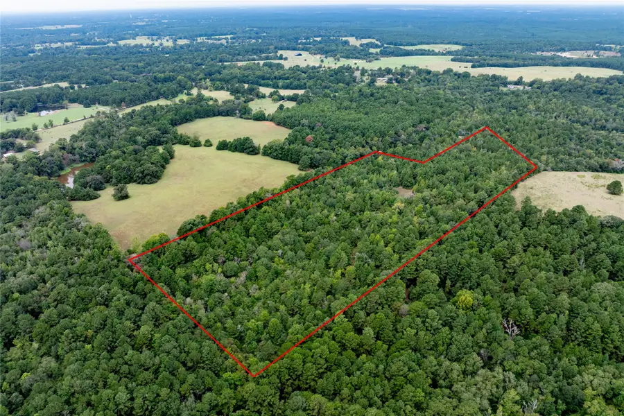 22 Acr Private Road 5040, Grapeland, TX 75844 - #3