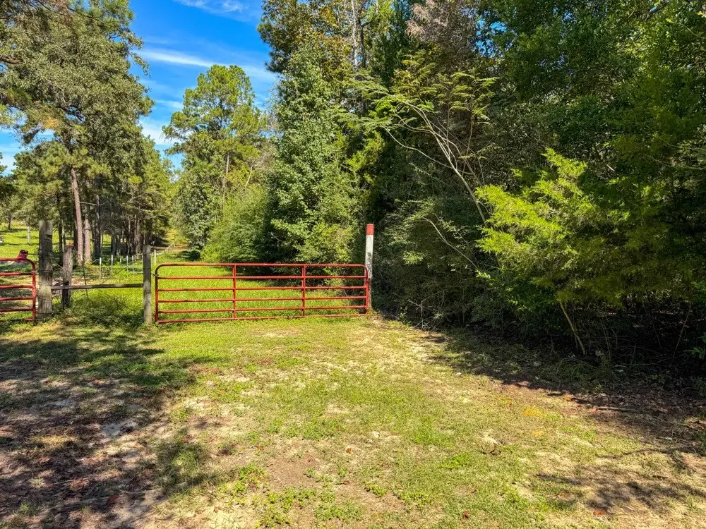 TBD County Road 4260, Woodville, TX 75979 - #1