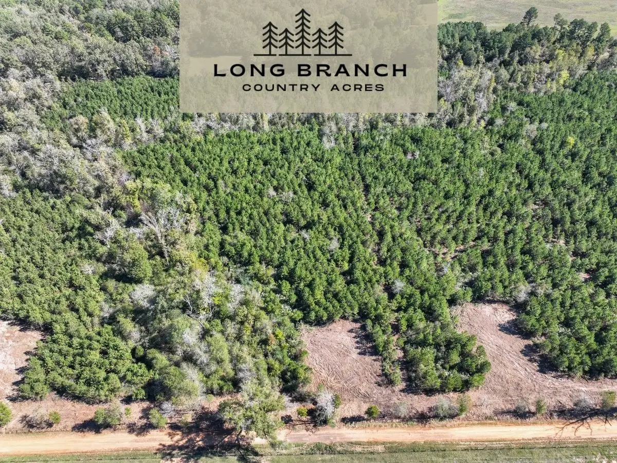 6 County Road 3121, Long Branch, TX 75669 - #1