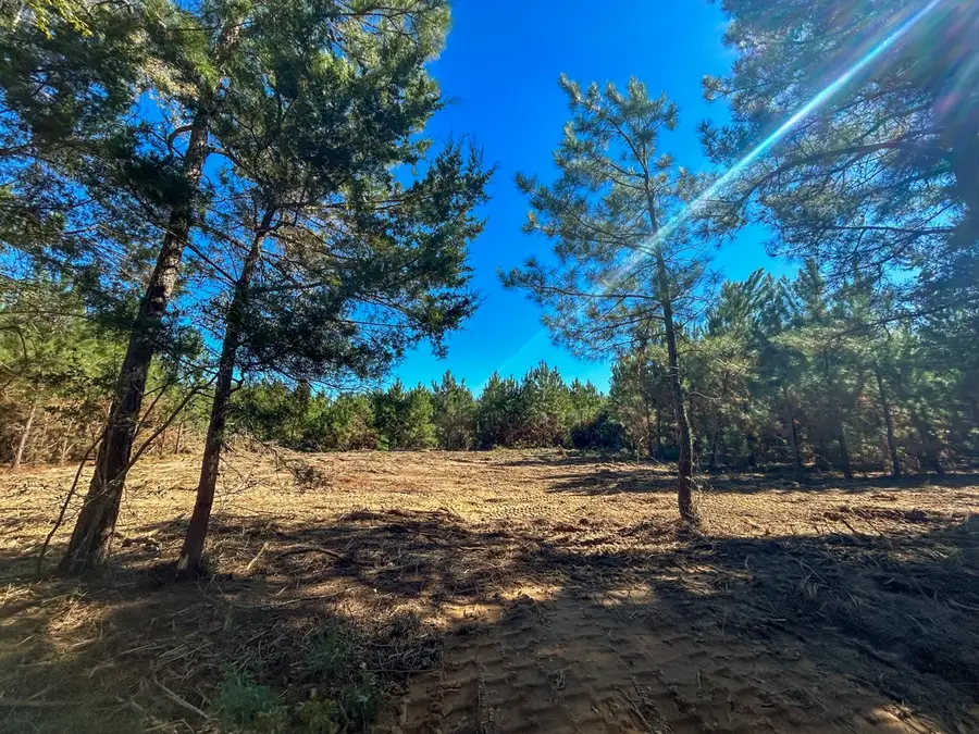 6 County Road 3121, Long Branch, TX 75669 - #3