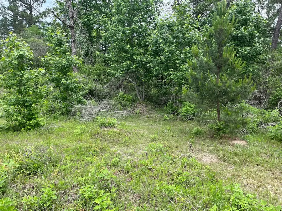 11544 Inspiration Drive, Willis, TX 77378 - #3