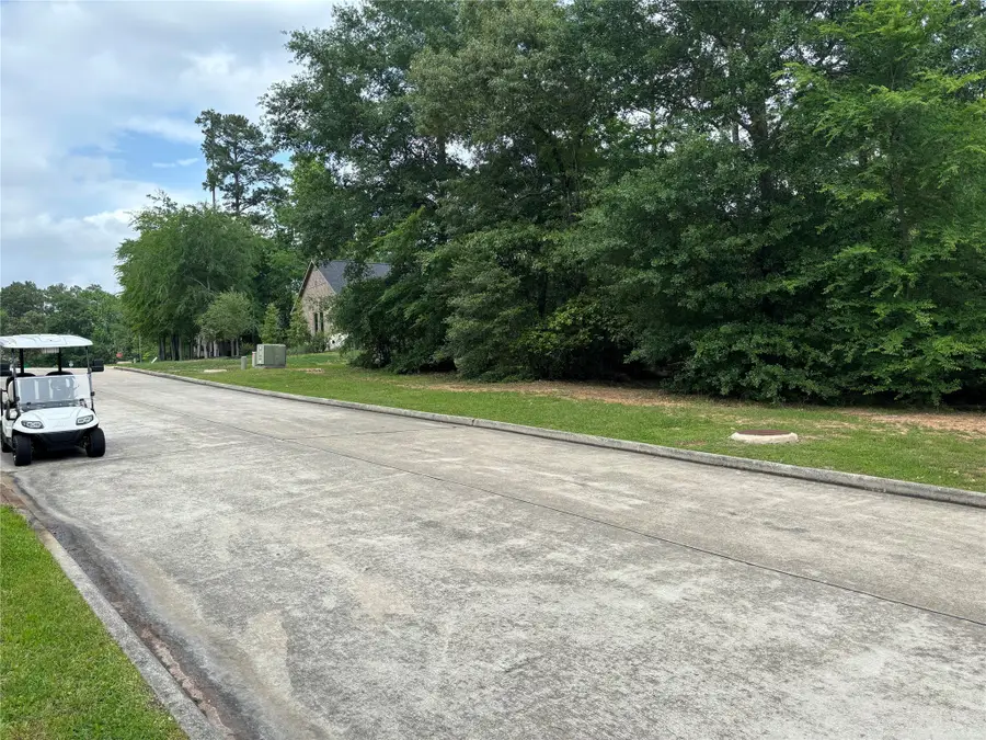 313 Pine Brook Drive, Montgomery, TX 77356 - Image #2