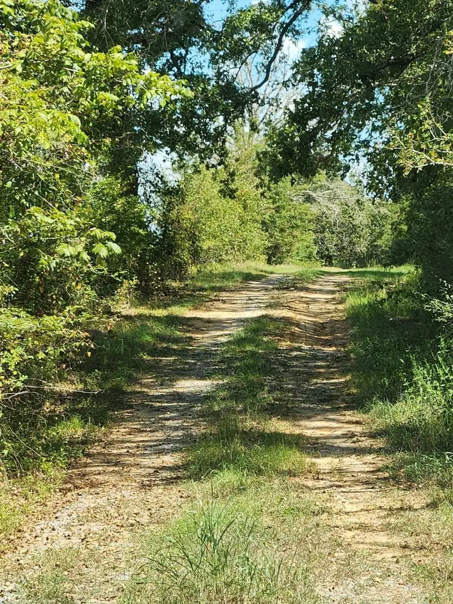 17454 Fm 542, Oakwood, TX 75855 - Image #2