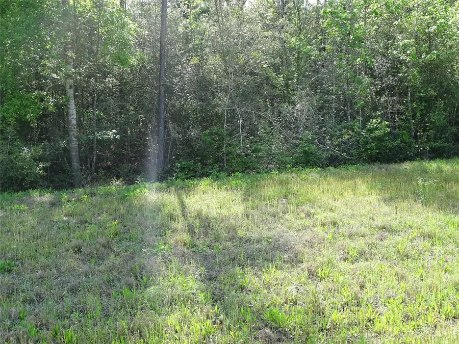 10774 Ruger Road, Willis, TX 77378 - Image #2