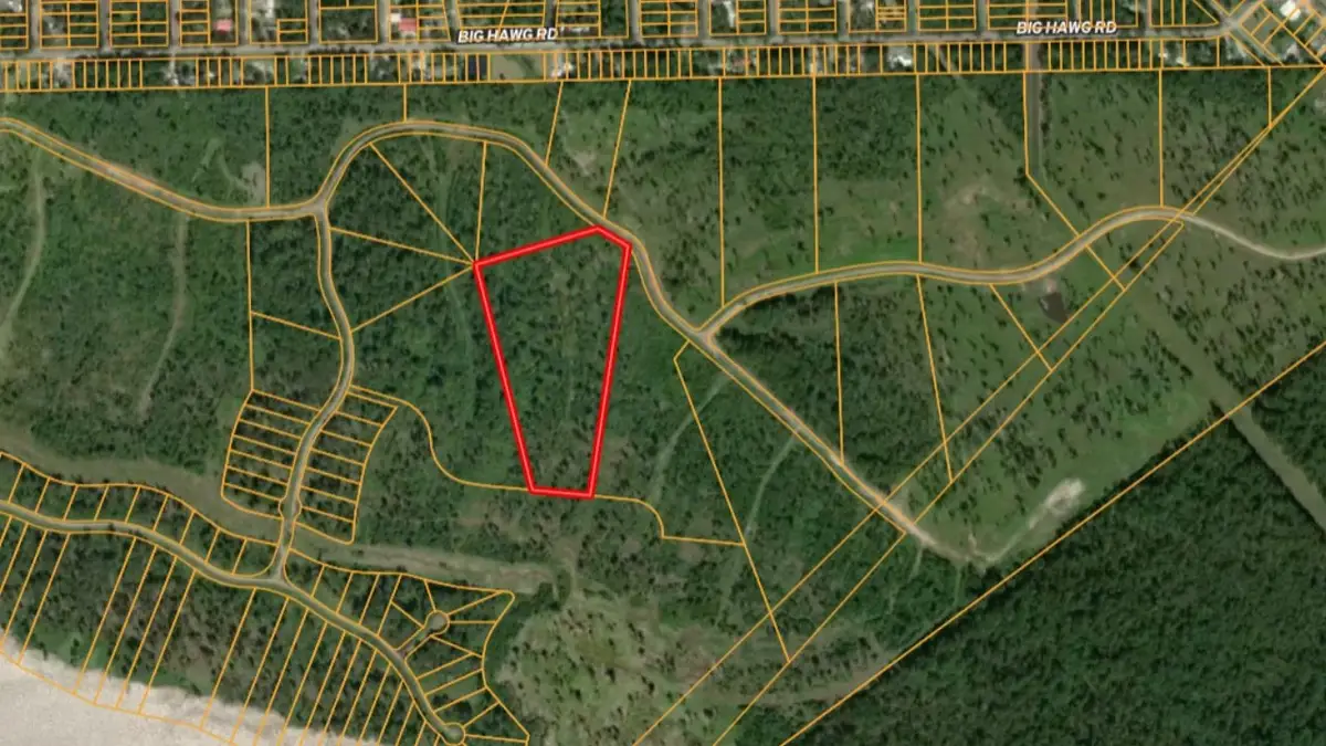 TBD Eagle Falls Boulevard, Trinity, TX 75862 - #1