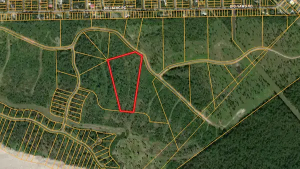 TBD Eagle Falls Boulevard, Trinity, TX 75862