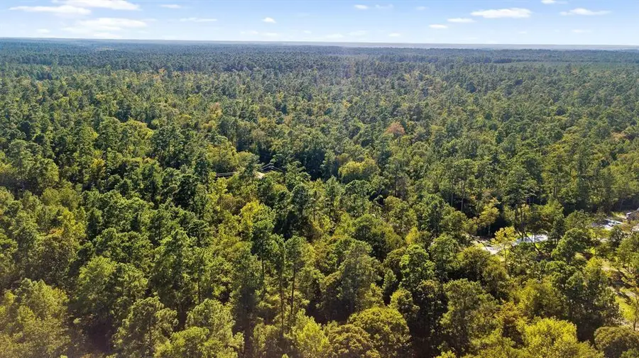 5-24-19 Rim Rock Road, Huntsville, TX 77340 - #3