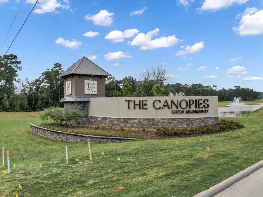 21331 Pine Mill Drive, New Caney, TX 77357 - #3