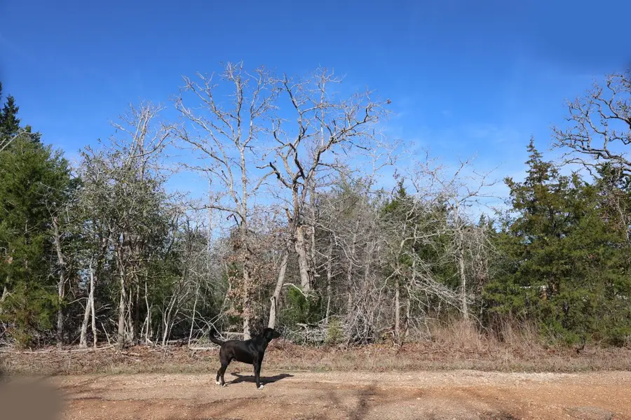 535 Blueberry Hill Road, Somerville, TX 77879 - Image #3