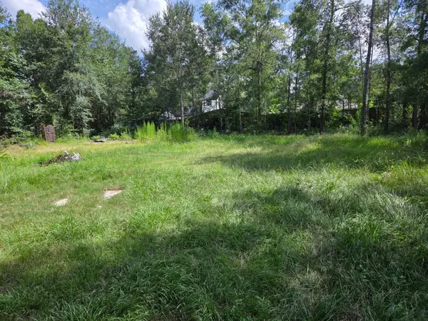 0 June, Shepherd, TX 77371