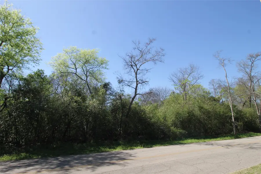 600 Blk 1 Lot 6 Brady Street, Jacksonville, TX 75766 - #3