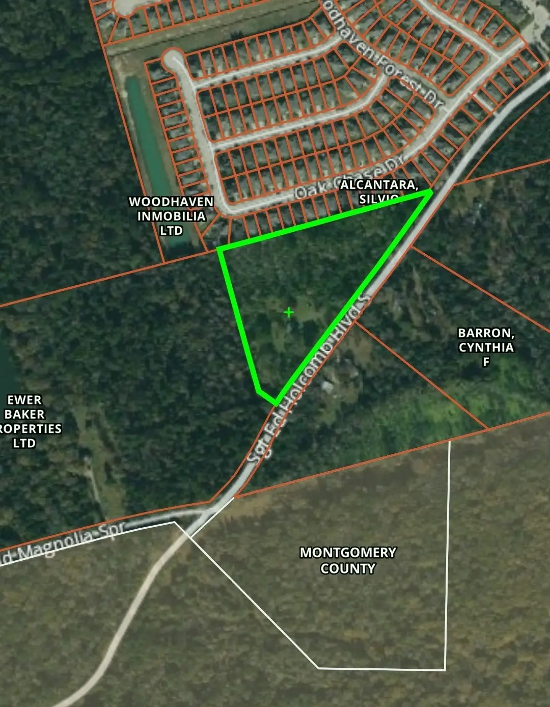 2201 Sgt Ed Holcomb Boulevard S, Conroe, TX 77304 - #1