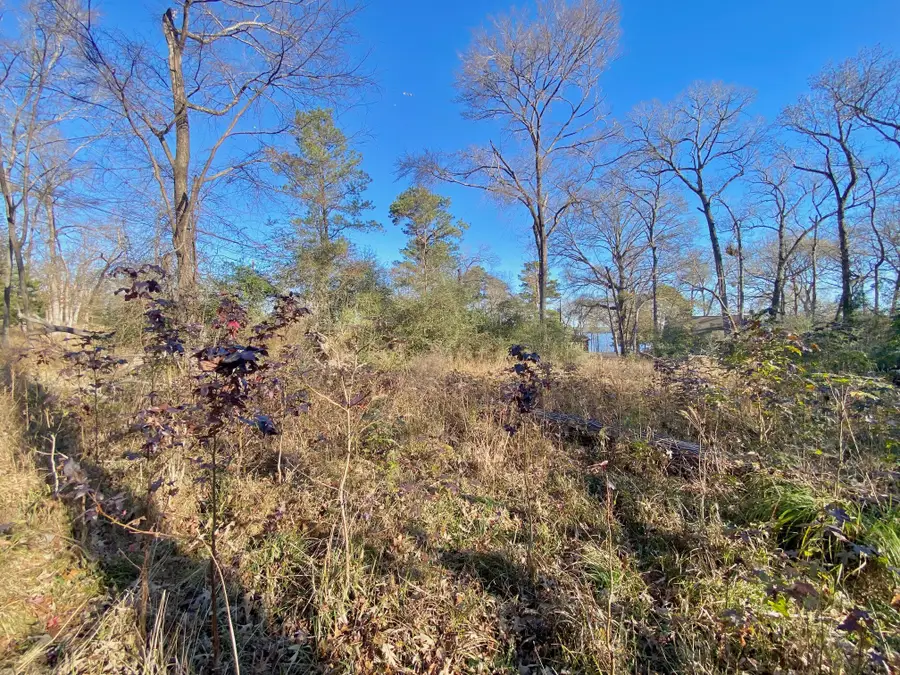 Lot #9 Tall Timber Road, Crockett, TX 75835 - #2