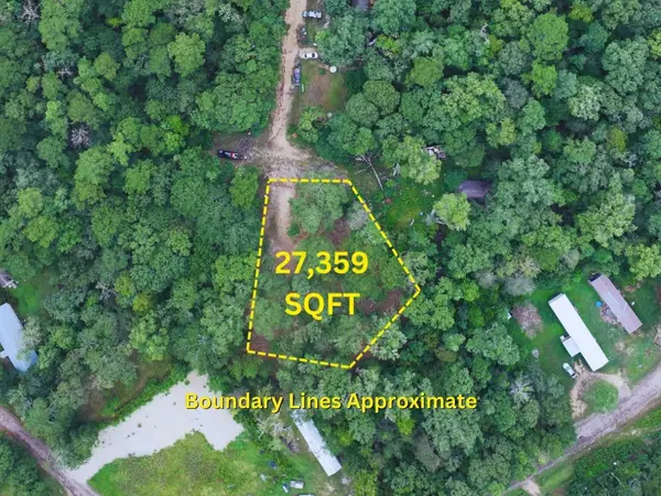 TBD The Living End, Shepherd, TX 77371