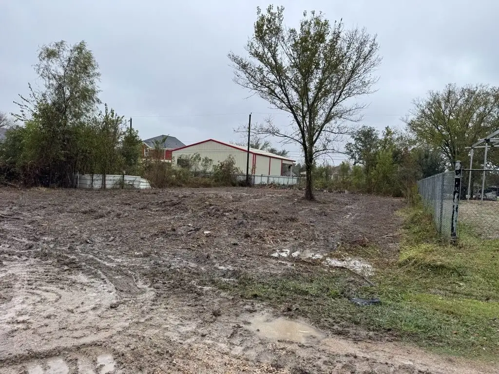 0 Cameron, Rosharon, TX 77583 - Image #1