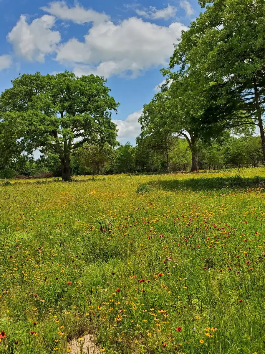 Lot 21 Cr 389, Jewett, TX 75846 - Image #2