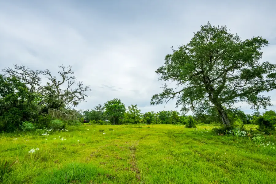 319 Cr 319, Brazoria, TX 77422 - Image #3