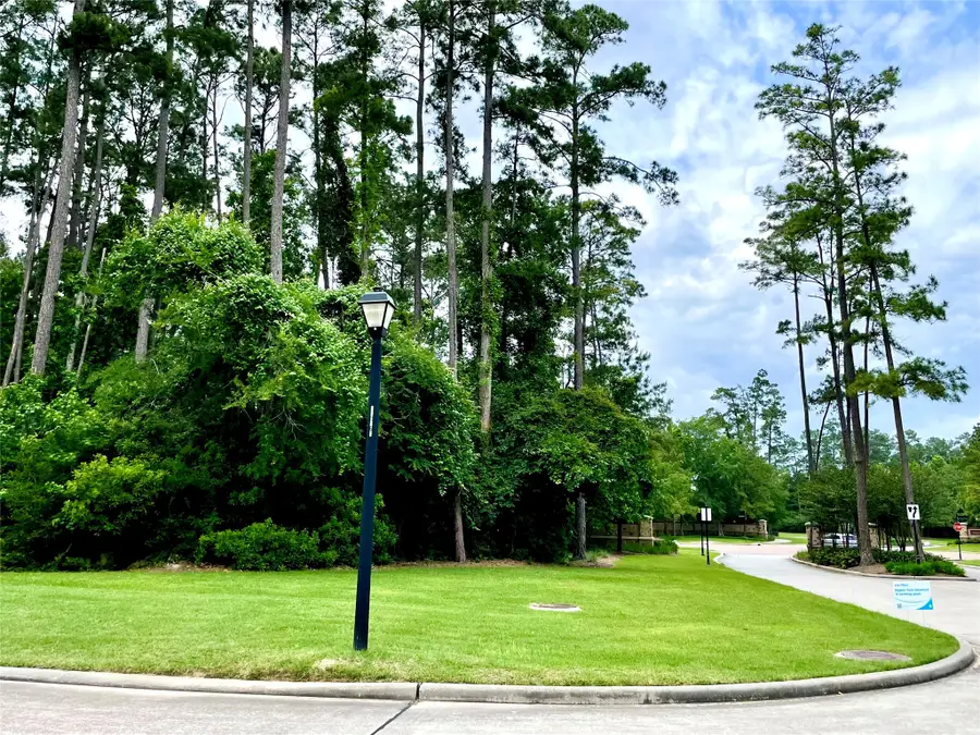 67 N Glenwild Circle, Spring, TX 77389 - Image #3