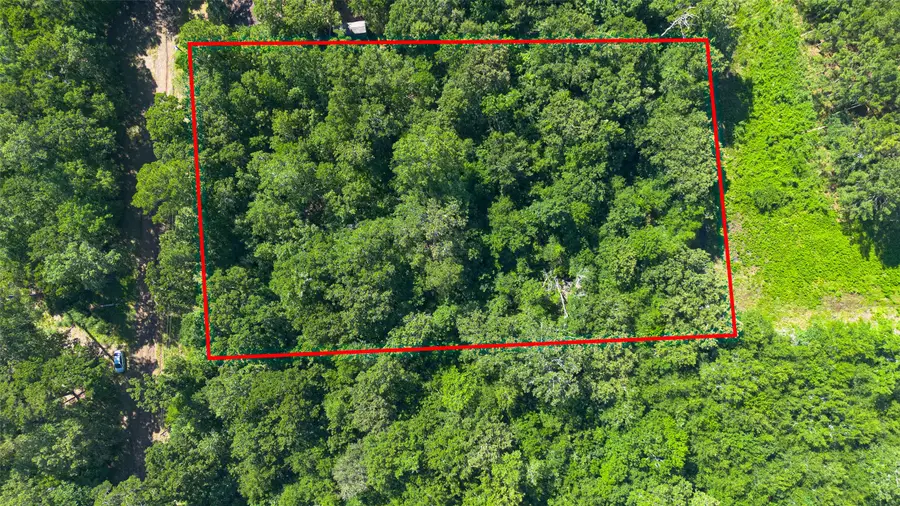 TDB Foyt Drive, Livingston, TX 77351 - #2
