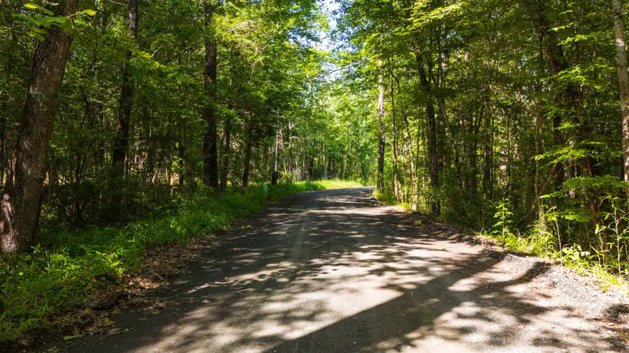 129 County Road 3160, Colmesneil, TX 75938 - Image #2