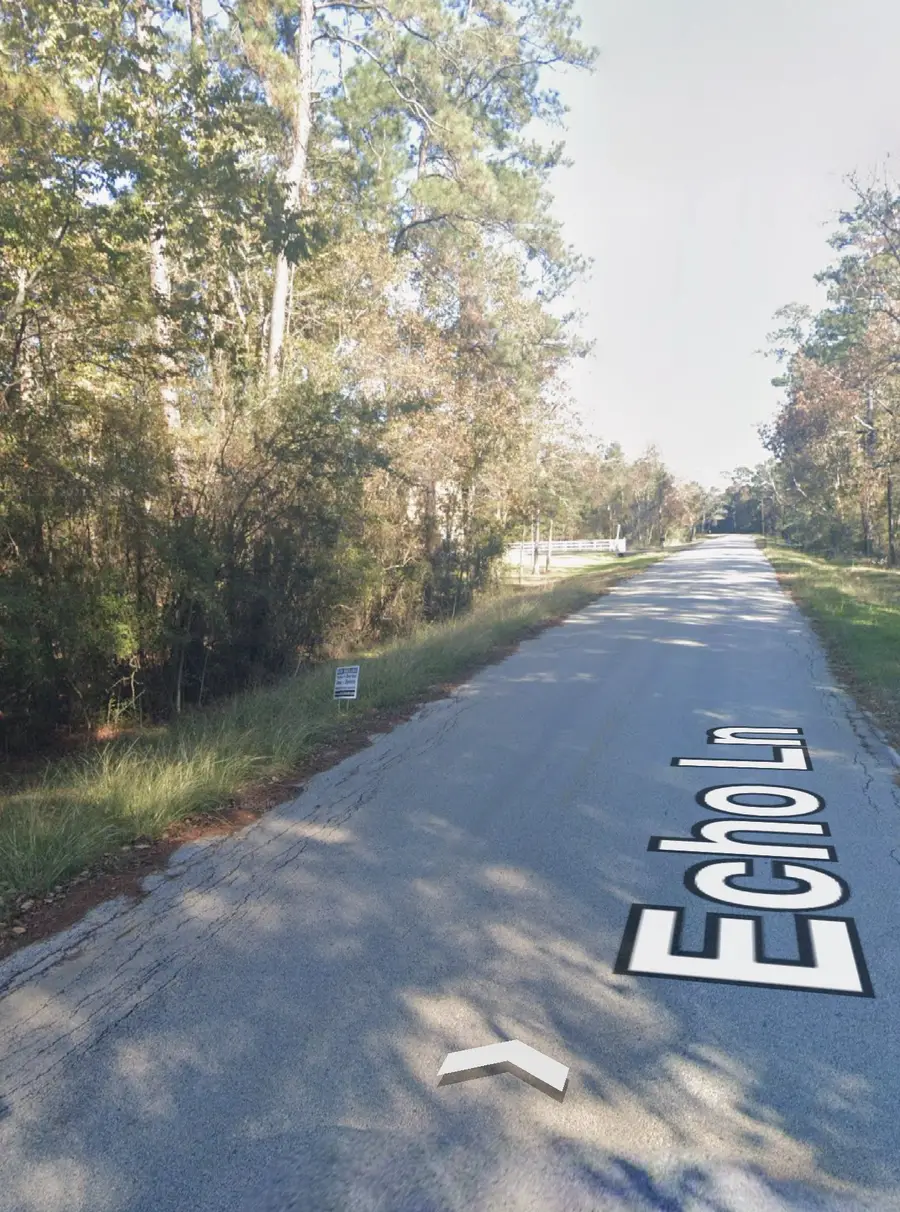 524 Echo Lane, Huffman, TX 77336 - #2