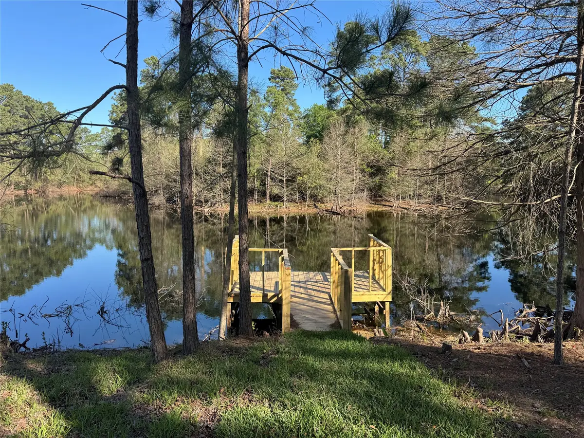 18234 Atkinson Lane, Conroe, TX 77384 - #1