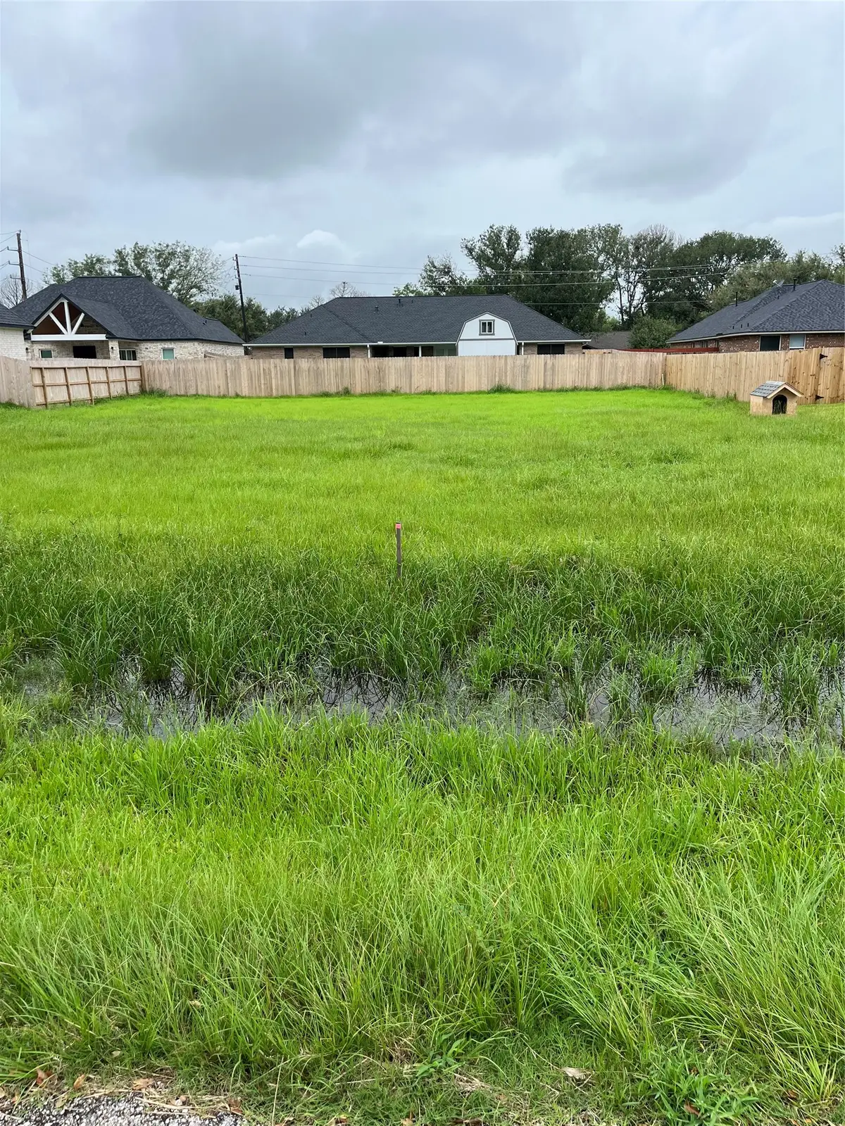 3814 Doveswood Circle, Needville, TX 77461 - #1