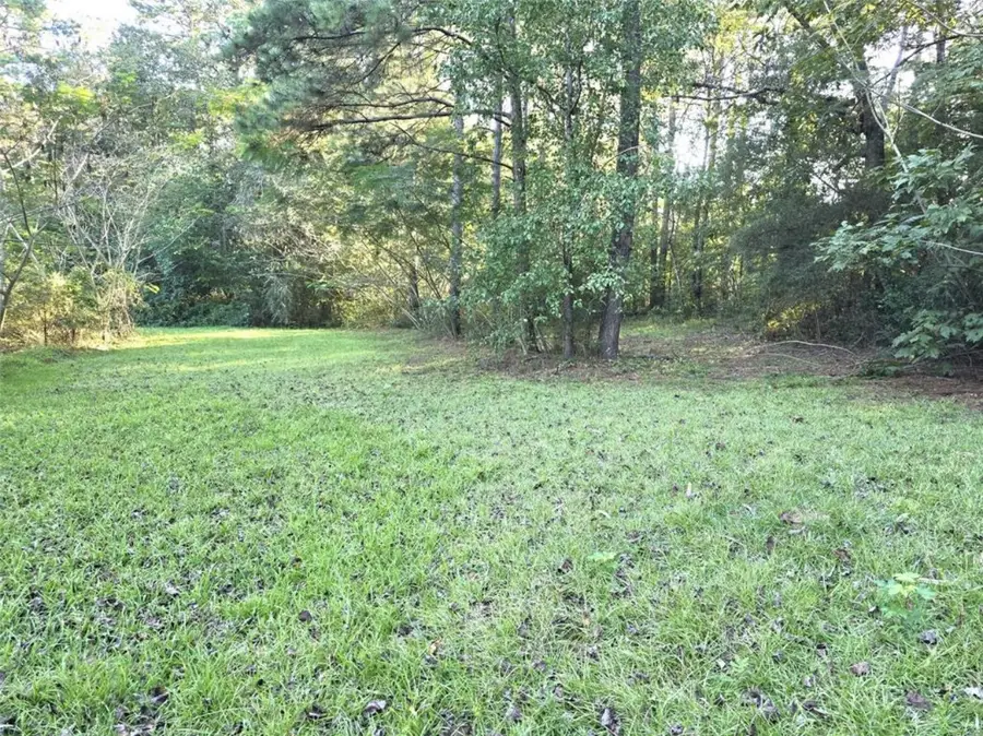 654 The Ole Don Road, Livingston, TX 77351 - Image #2