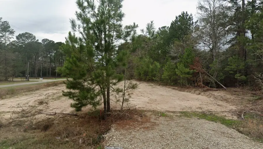 19131 Serpenteer Drive, Porter, TX 77365 - #2