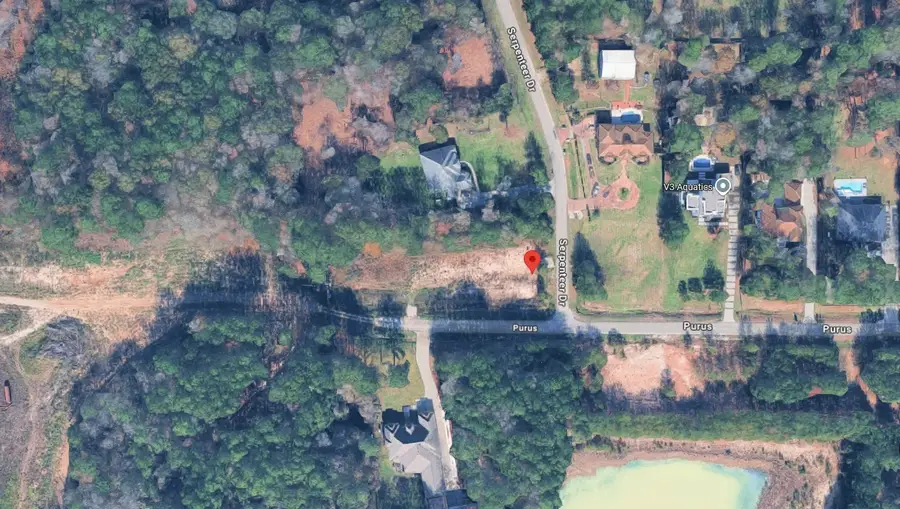 19131 Serpenteer Drive, Porter, TX 77365 - #3