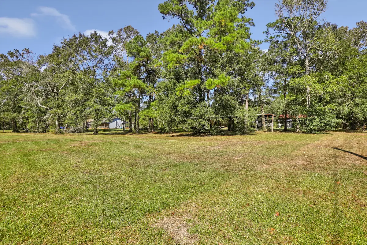 1132 County Road 112, Devers, TX 77538 - #1