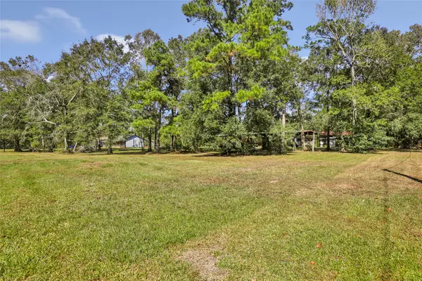 1132 County Road 112, Devers, TX 77538