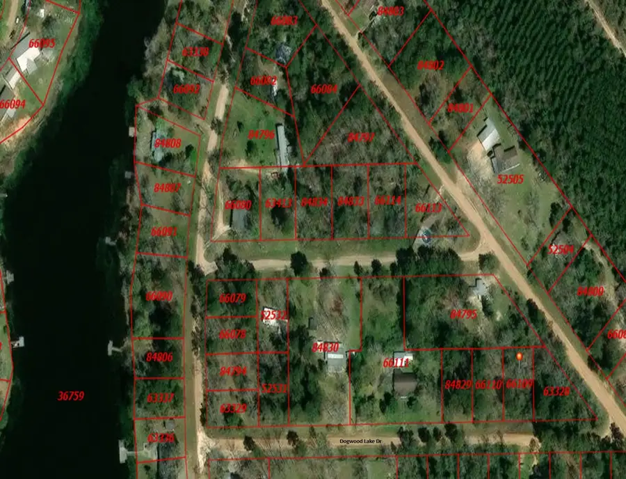 160 Dogwood Lake Drive, Livingston, TX 77351 - #3