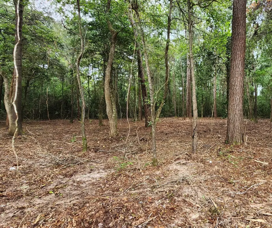 7575 Broussard Road, Beaumont, TX 77713 - #1
