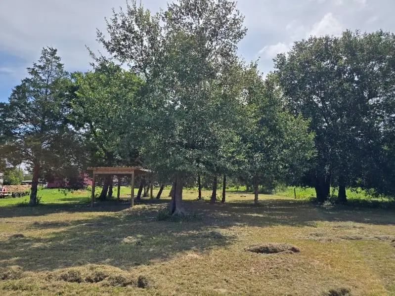 20714 Pearl Street, Prairie View, TX 77484 - Image #3