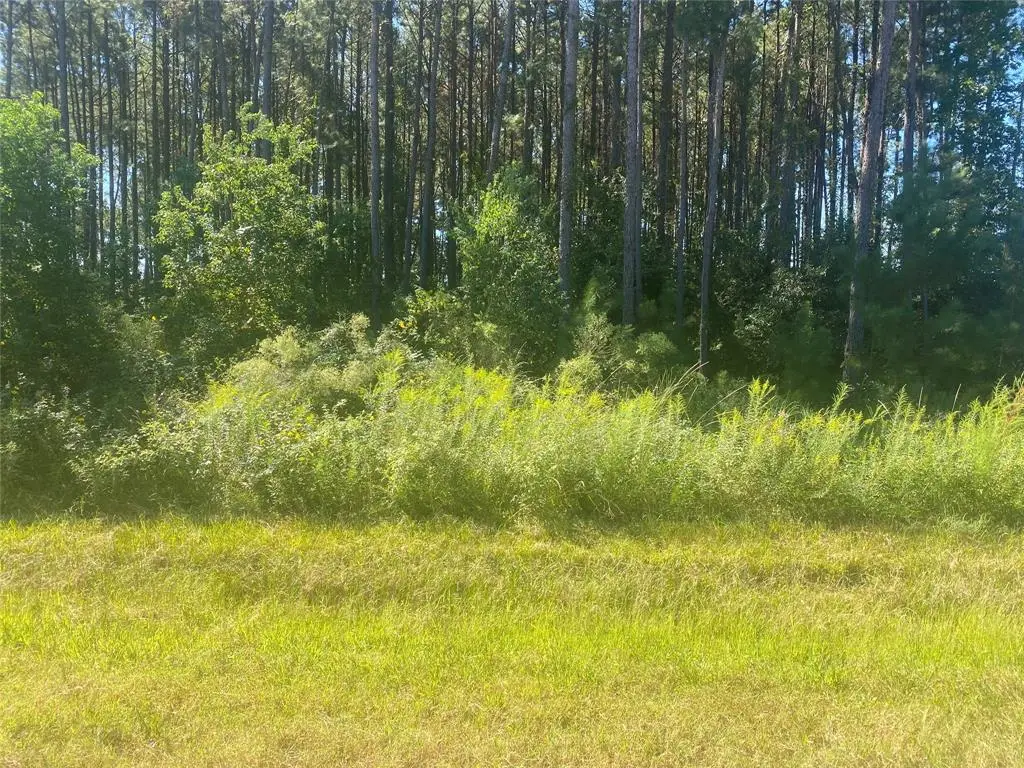 0 County Road 3545, Cleveland, TX 77327 - Image #1