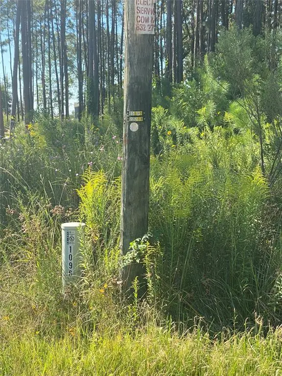 0 County Road 3545, Cleveland, TX 77327 - Image #3